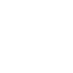 Software Development Consulting