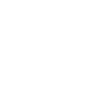 Software Developers