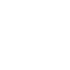 Software Int Services